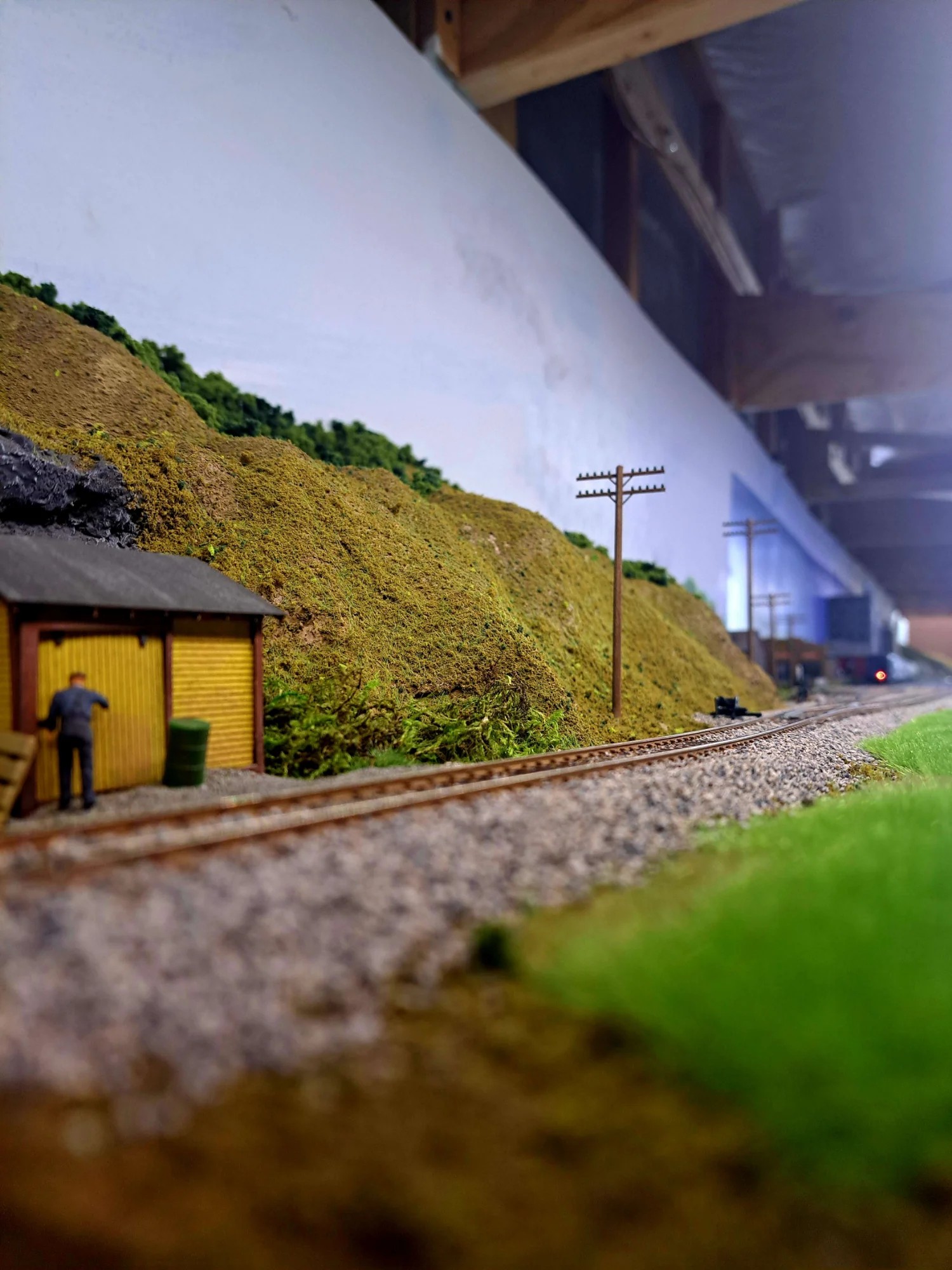 HO Layout Scene